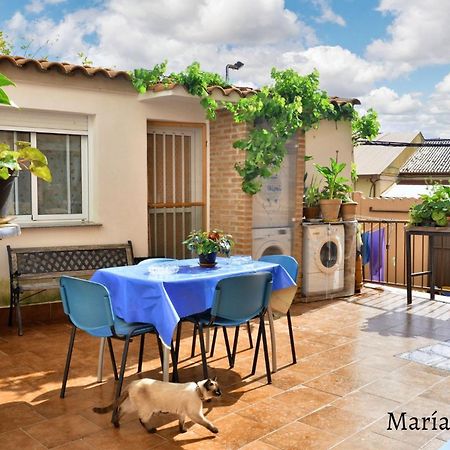 Comfortable Apartment In Caceres 55 M² Welcoming Terrace מראה חיצוני תמונה