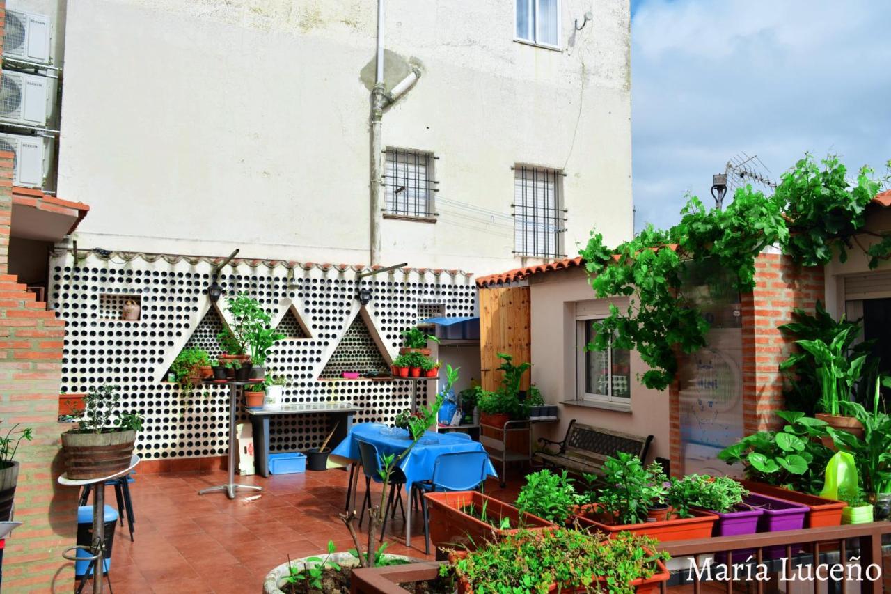 Comfortable Apartment In Caceres 55 M² Welcoming Terrace מראה חיצוני תמונה